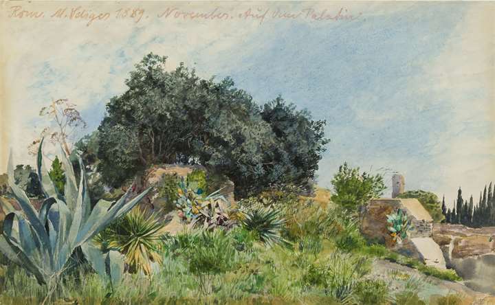Landscape on the Palatine Hill in Rome